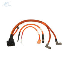 Customized Vehicle Charging Cable Assemblies Wire Harness